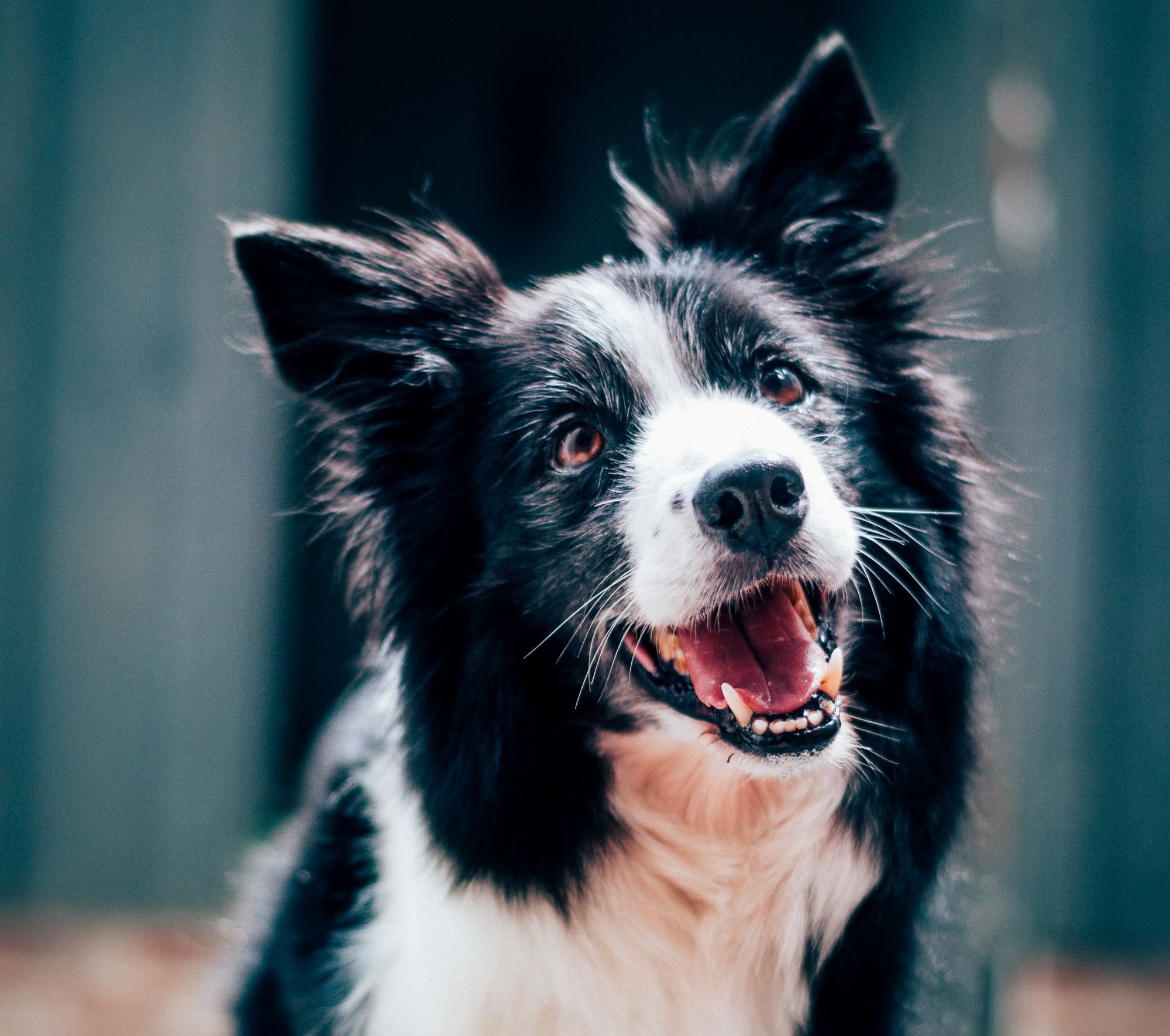 2_baptist-standaert-mx0DEnfYxic-unsplash 2_baptist-standaert-mx0DEnfYxic-unsplash