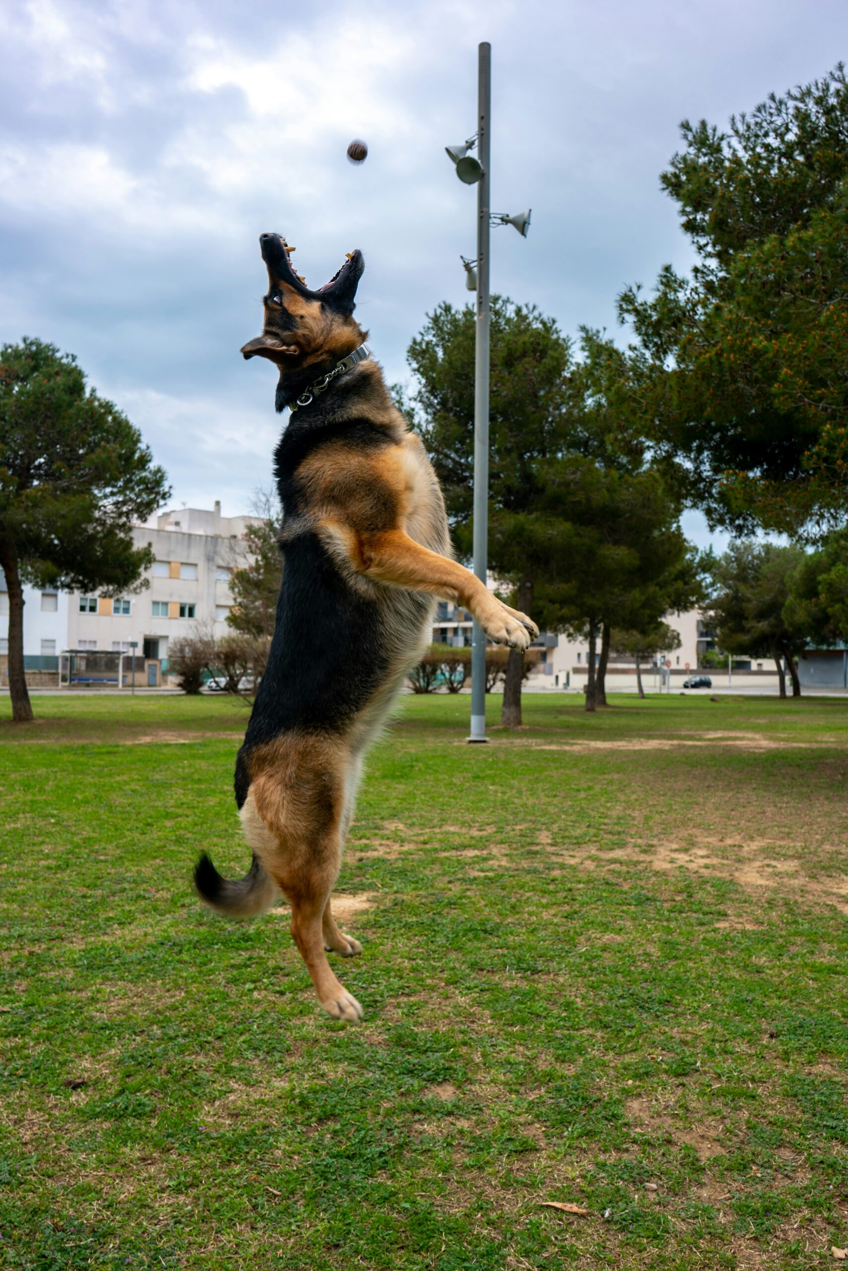 joshua-aguilar-74m7ZPLU7zg-unsplash joshua-aguilar-74m7ZPLU7zg-unsplash