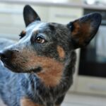 liana-s-6O836G6enDA-unsplash